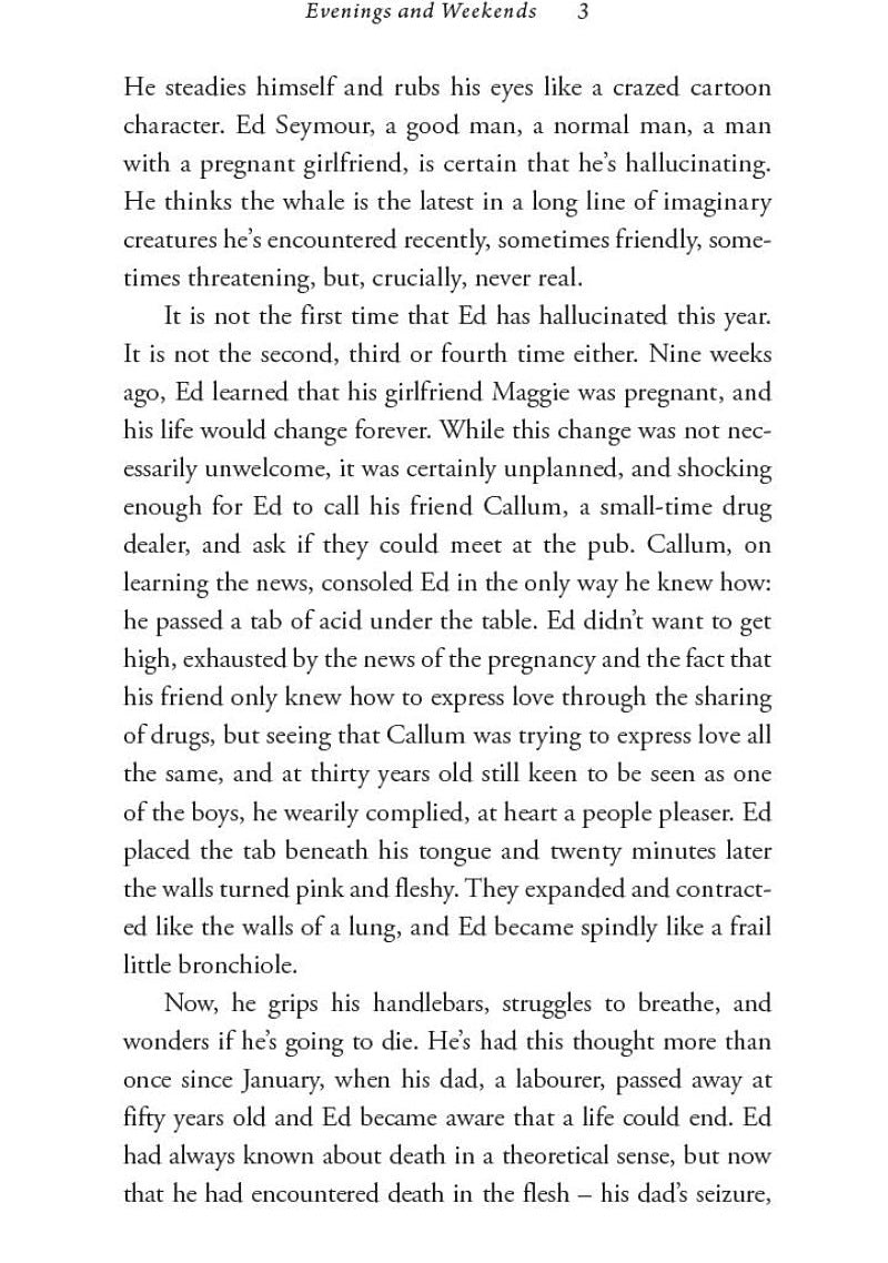 Evenings and Weekends (Oisín McKenna)-Fiction: Modern and contemporary-買書書 BuyBookBook