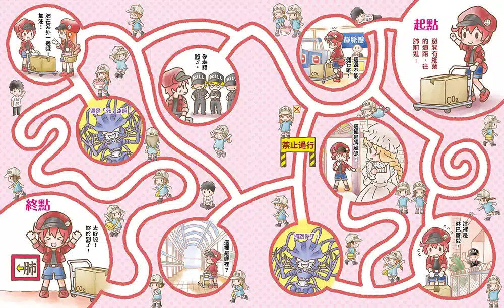 繪本工作細胞 #01 敵人入侵!白血球與細菌大對決-非故事: 常識通識 General Knowledge-買書書 BuyBookBook