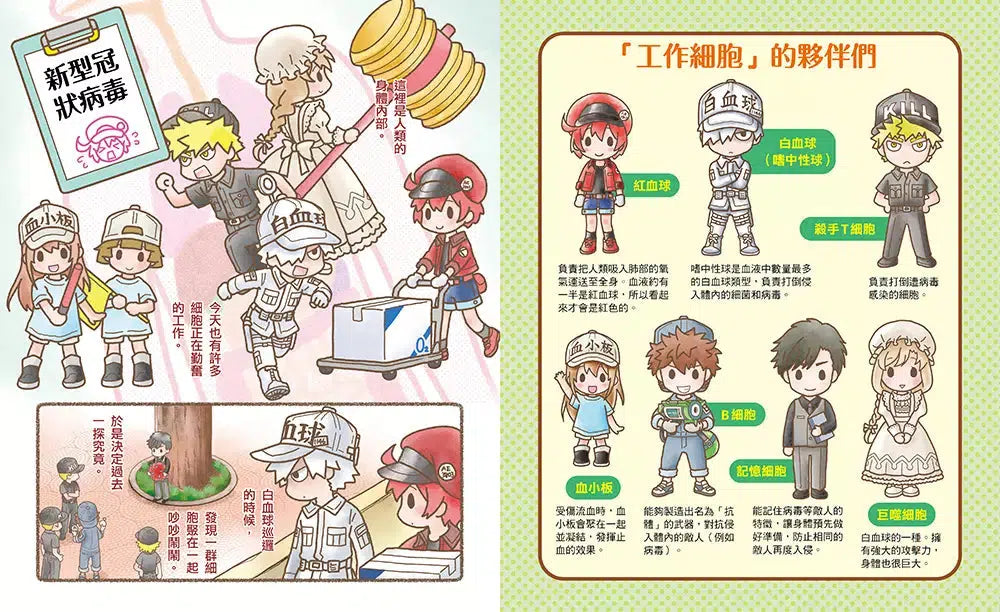繪本工作細胞 #04 全面迎戰!新型冠狀病毒(首刷限量贈送「所向無敵殺手T細胞-吊飾立牌兩用壓克力」)-非故事: 常識通識 General Knowledge-買書書 BuyBookBook