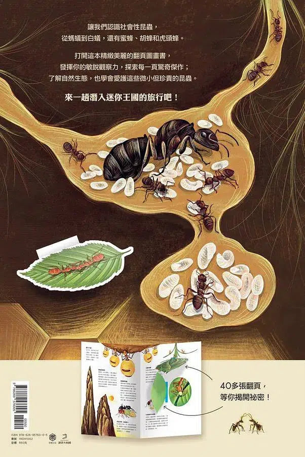 潛入迷你王國:小巧蜂蟻驚奇無比 (大開本翻翻書)-非故事: 參考百科 Reference & Encyclopedia-買書書 BuyBookBook