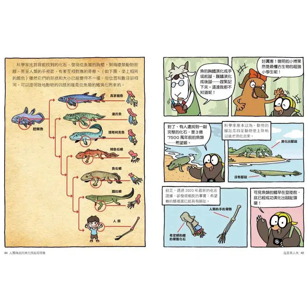 達克比辦案10:鬼屋美人魚:人類構造的演化與返祖現象-非故事: 常識通識 General Knowledge-買書書 BuyBookBook