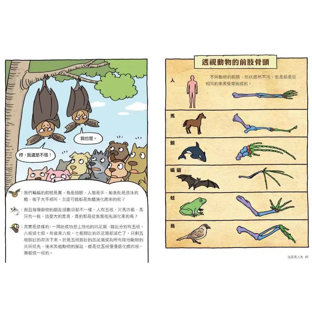達克比辦案10:鬼屋美人魚:人類構造的演化與返祖現象-非故事: 常識通識 General Knowledge-買書書 BuyBookBook