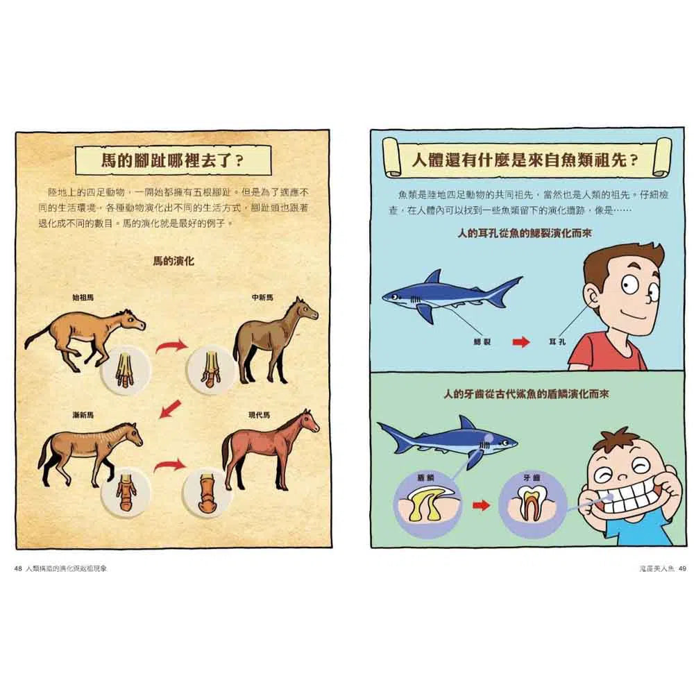 達克比辦案10:鬼屋美人魚:人類構造的演化與返祖現象-非故事: 常識通識 General Knowledge-買書書 BuyBookBook