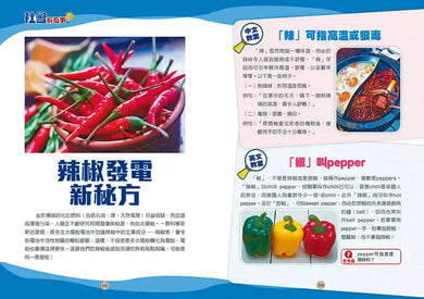 小學生必備的100個基礎關鍵知識-非故事: 常識通識 General Knowledge-買書書 BuyBookBook