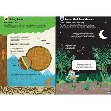 Usborne (正版) 100 things to know about... complete bundle (9 Books) Usborne