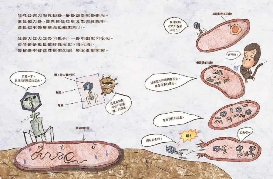微生物小祕密系列#01 - #04:破除刻板印象、認識生活中無所不在的細菌、病毒、真菌、原生生物 (共4冊)-非故事: 科學科技 Science & Technology-買書書 BuyBookBook