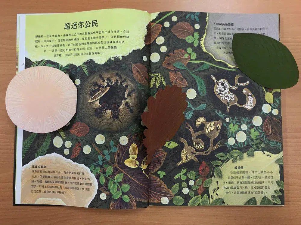潛入迷你王國:小巧蜂蟻驚奇無比 (大開本翻翻書)-非故事: 參考百科 Reference & Encyclopedia-買書書 BuyBookBook
