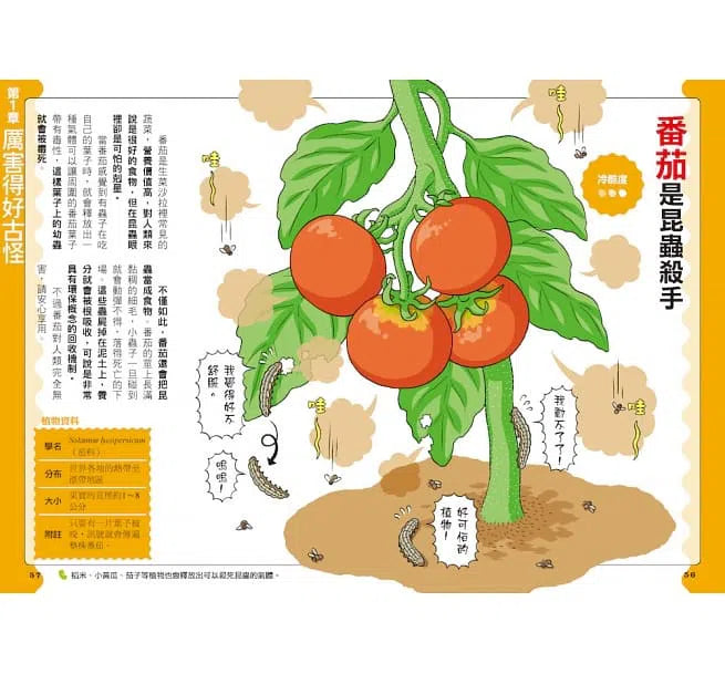 好奇孩子大探索:真的假的?原來植物這麼妙-非故事: 參考百科 Reference & Encyclopedia-買書書 BuyBookBook