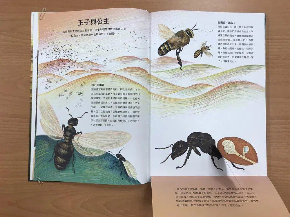 潛入迷你王國:小巧蜂蟻驚奇無比 (大開本翻翻書)-非故事: 參考百科 Reference & Encyclopedia-買書書 BuyBookBook
