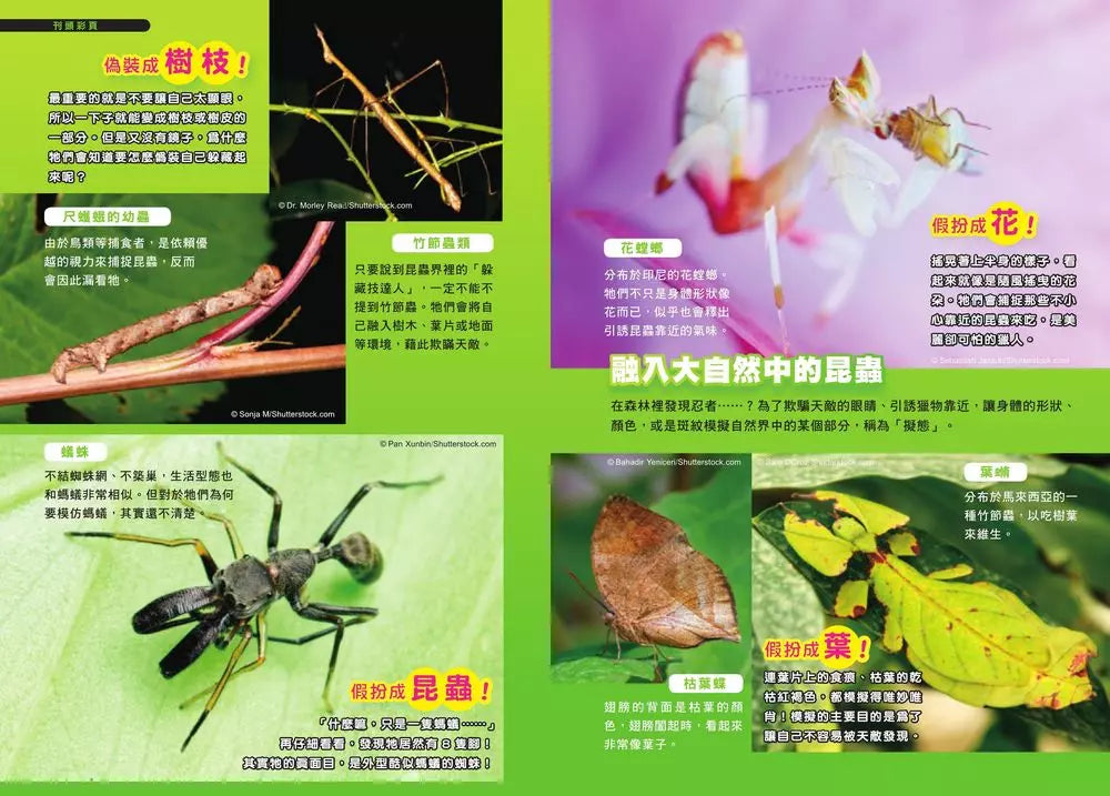 哆啦A夢科學任意門(11-15集)(藤子·F·不二雄)-非故事: 科學科技 Science & Technology-買書書 BuyBookBook