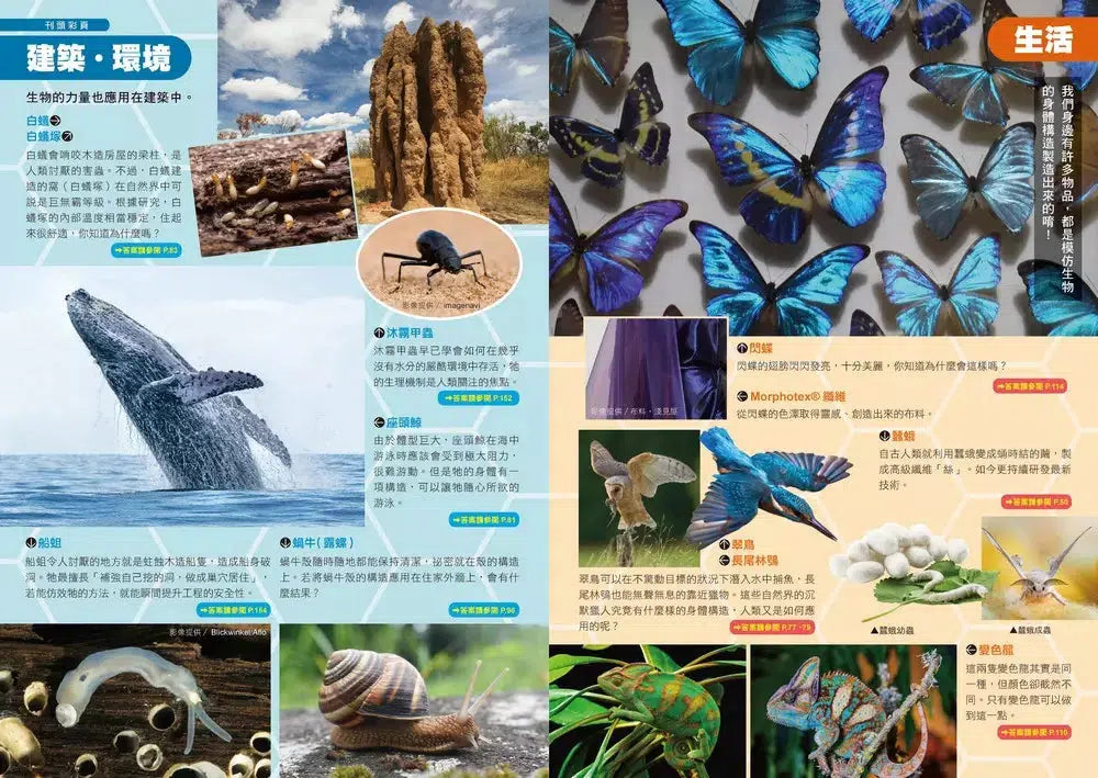 哆啦A夢科學任意門(21-25集)(藤子·F·不二雄)-非故事: 科學科技 Science & Technology-買書書 BuyBookBook