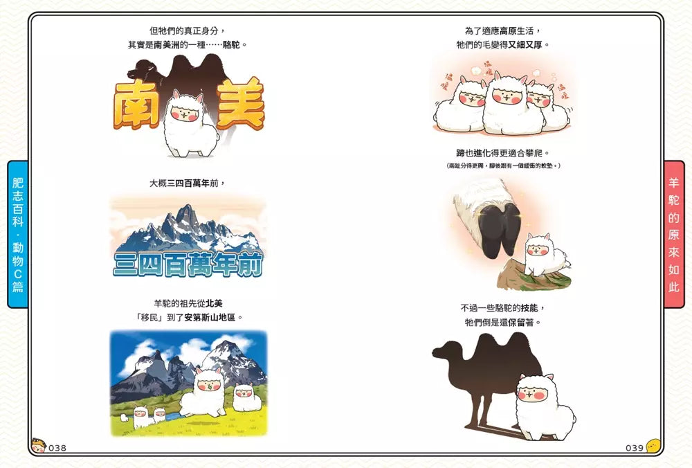 肥志百科7:原來你是這樣的動物C篇-非故事: 動物植物 Animal & Plant-買書書 BuyBookBook