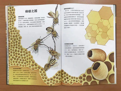 潛入迷你王國:小巧蜂蟻驚奇無比 (大開本翻翻書)-非故事: 參考百科 Reference & Encyclopedia-買書書 BuyBookBook