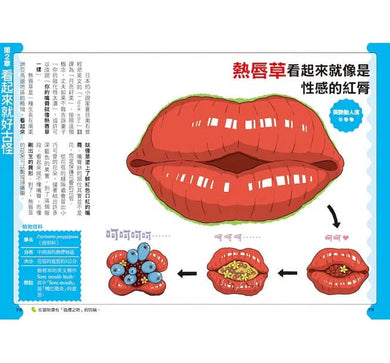 好奇孩子大探索:真的假的?原來植物這麼妙-非故事: 參考百科 Reference & Encyclopedia-買書書 BuyBookBook