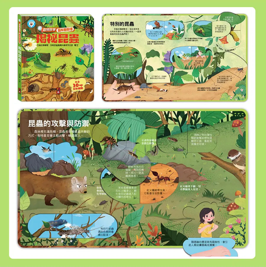 百問百答圖解翻翻書:揭祕昆蟲