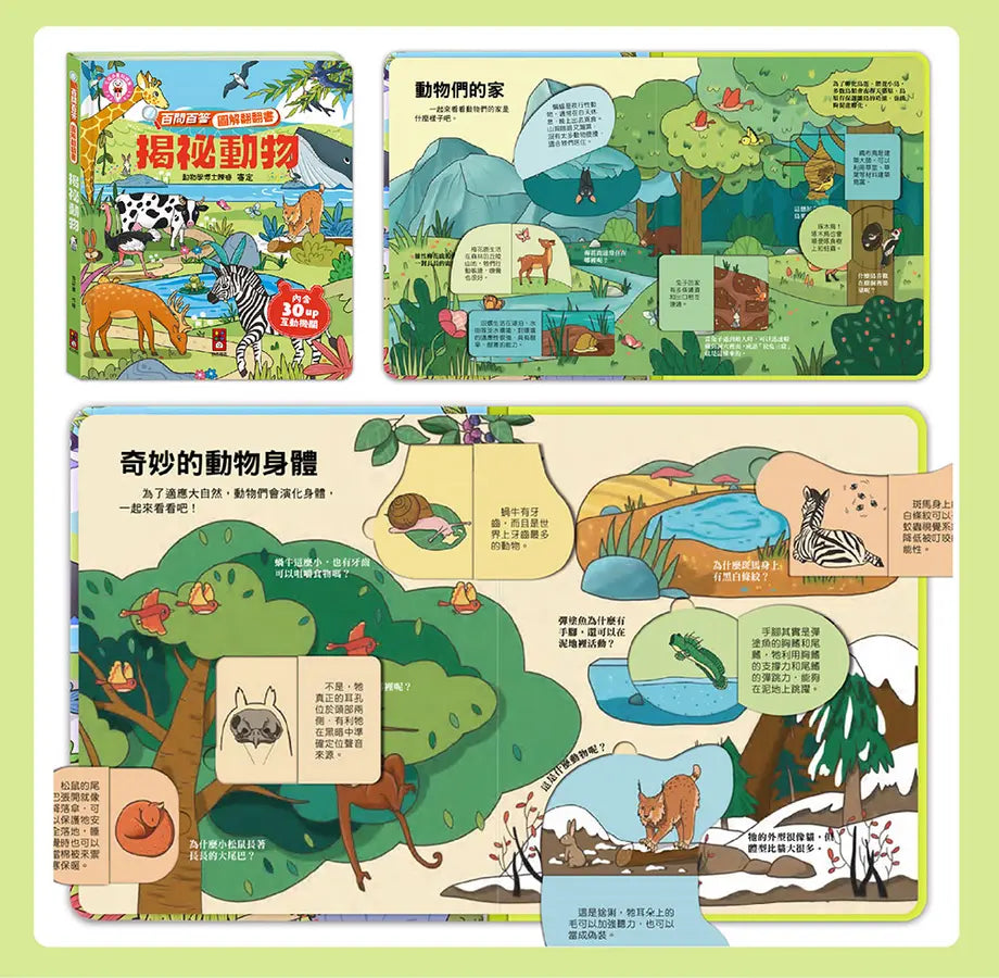 百問百答圖解翻翻書:揭祕動物