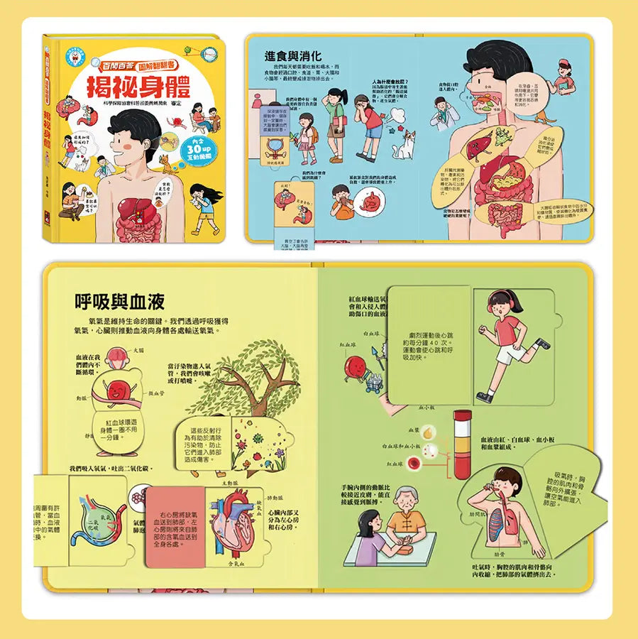 百問百答圖解翻翻書:揭祕身體