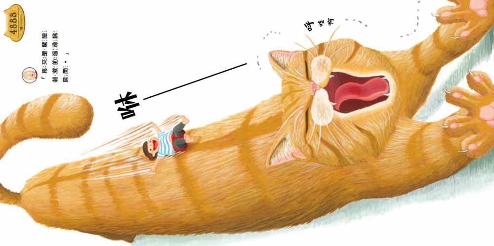 貓咪旅館