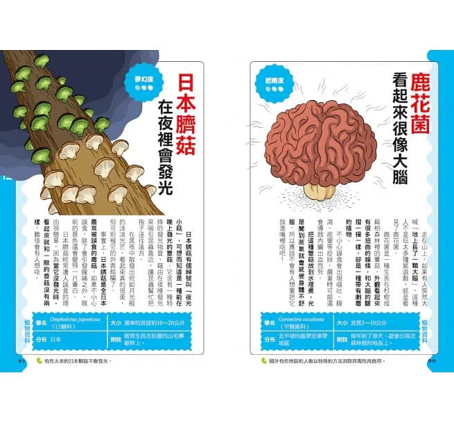 好奇孩子大探索:真的假的?原來植物這麼妙-非故事: 參考百科 Reference & Encyclopedia-買書書 BuyBookBook