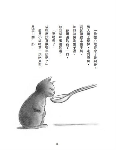 書店裡的魯比貓:【溫暖療癒×人際互動×成長探索】魯比誕生了!尋找自己的紅寶石,獻給每一個微小、卻努力發光的你-Children’s / Teenage fiction: Action and adventure stories-買書書 BuyBookBook