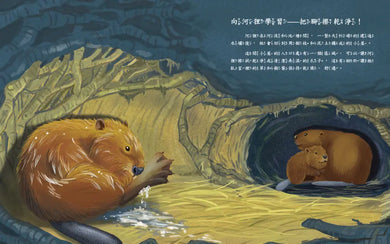 向動物學習:啟發孩子的神奇動物行為.天生我材必有用