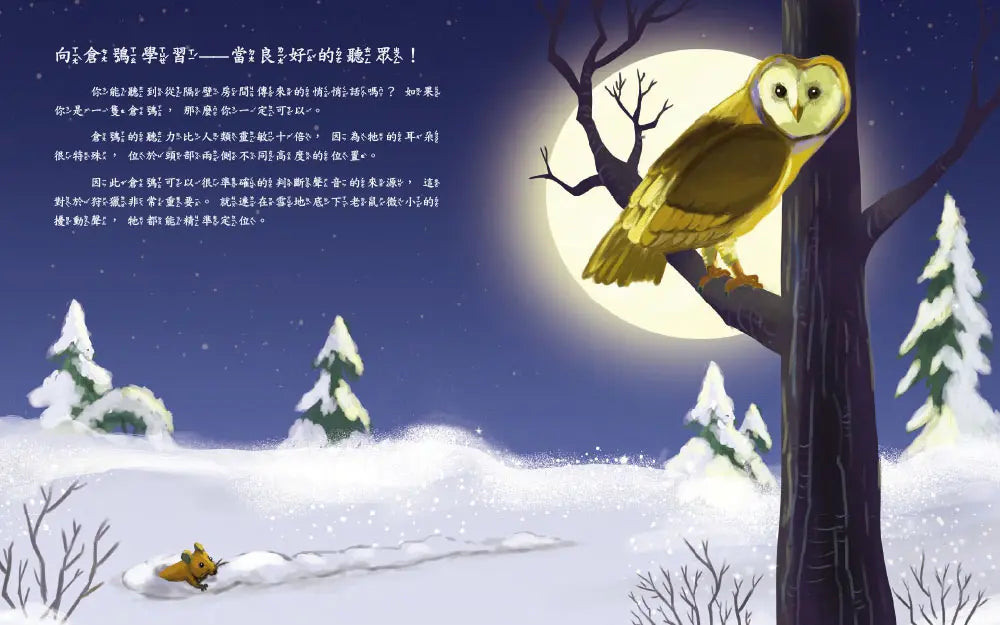 向動物學習:啟發孩子的神奇動物行為.天生我材必有用
