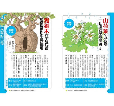 好奇孩子大探索:真的假的?原來植物這麼妙-非故事: 參考百科 Reference & Encyclopedia-買書書 BuyBookBook