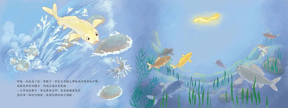 十二小守護過新年:我是鯉小龍-Children’s picture books-買書書 BuyBookBook