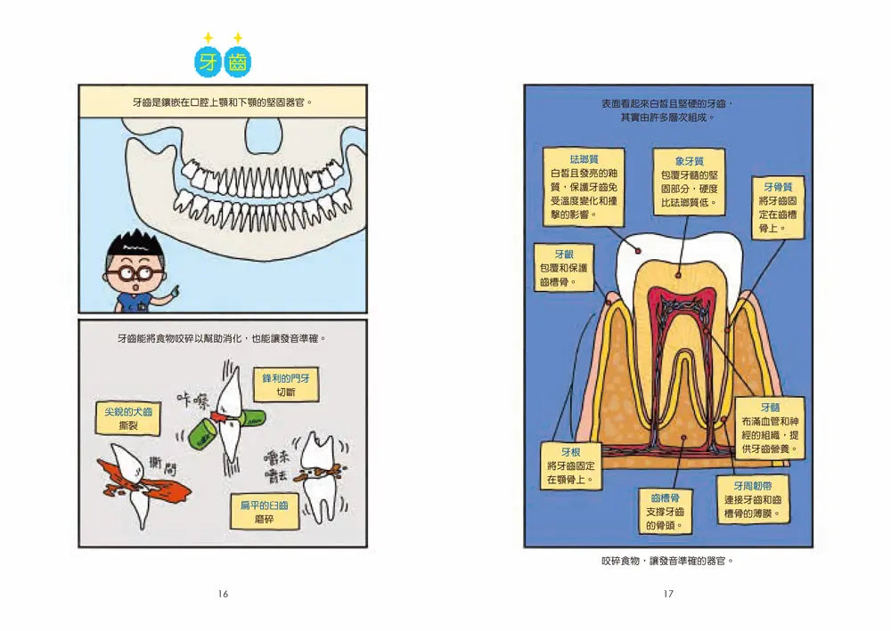 小醫師復仇者聯盟11:口腔疾病,堂堂正正的對決吧!-Children’s / Teenage fiction: Action and adventure stories-買書書 BuyBookBook