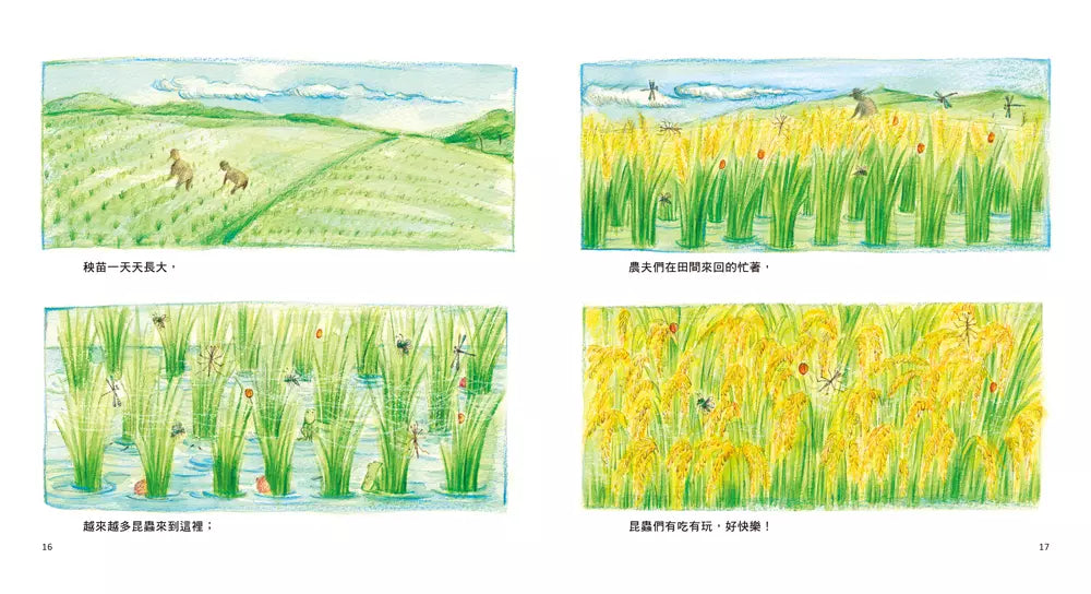 橙瓢蟲找新家(二版)(李明足)-非故事: 常識通識 General Knowledge-買書書 BuyBookBook