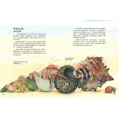 Inside Page 3