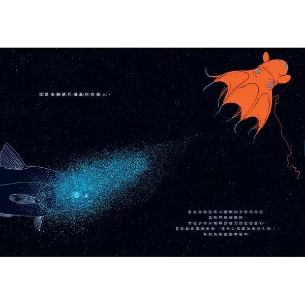 夜光:點亮黑暗的生物-Children’s picture books-買書書 BuyBookBook