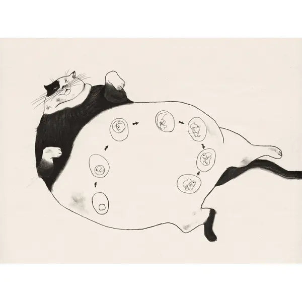 啾啾的媽媽-Children's picture books-買書書 BuyBookBook