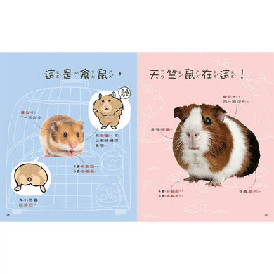 動物比一比1-Children’s / Teenage general interest: Nature and animals-買書書 BuyBookBook