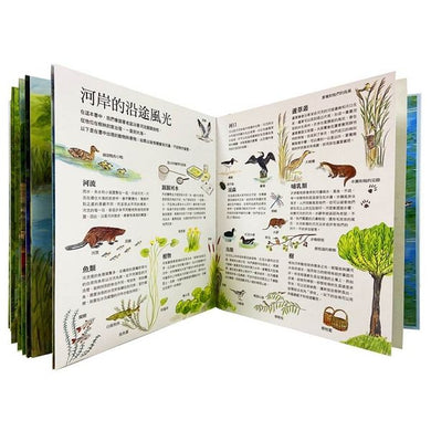 老鼠的河岸風光 (翻翻書)-Children’s picture books-買書書 BuyBookBook