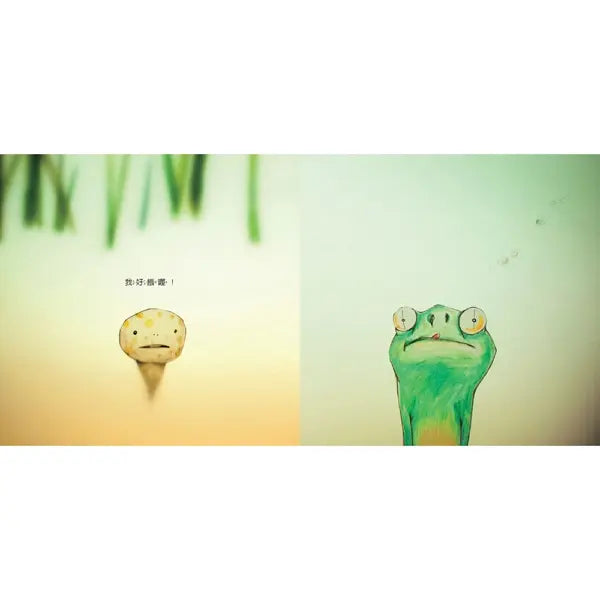 青蛙哥哥的美夢-Children's picture books-買書書 BuyBookBook