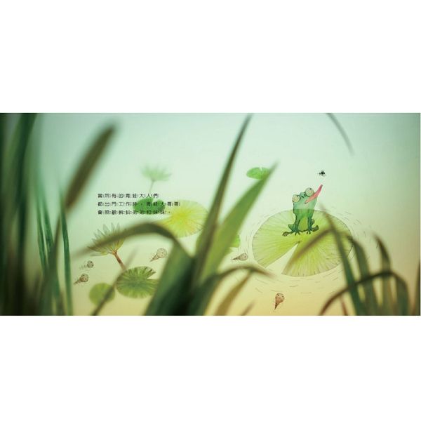 青蛙哥哥的美夢-Children's picture books-買書書 BuyBookBook