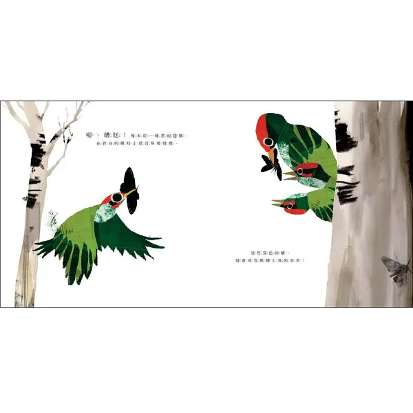 翅膀的顏色:關於演化的故事-Children's picture books-買書書 BuyBookBook