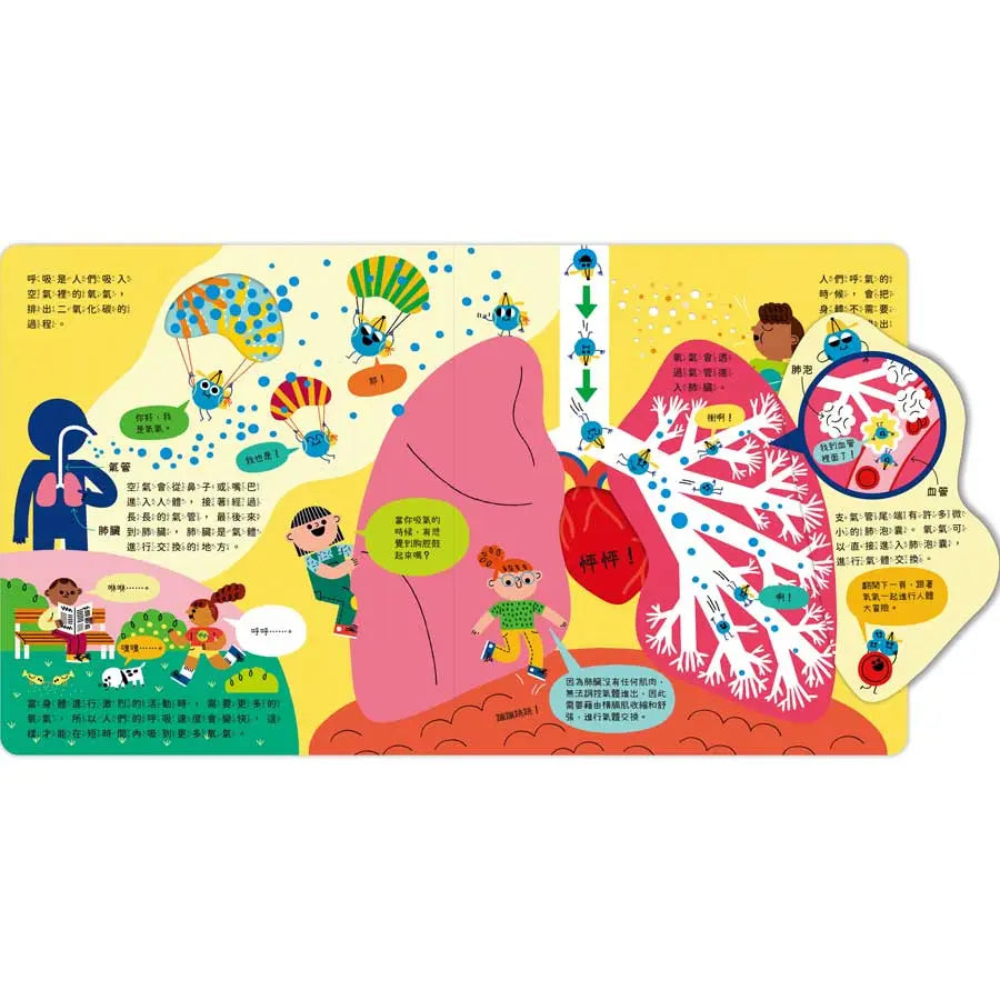 STEAM科學小教室: 人體大冒險 (翻翻書)