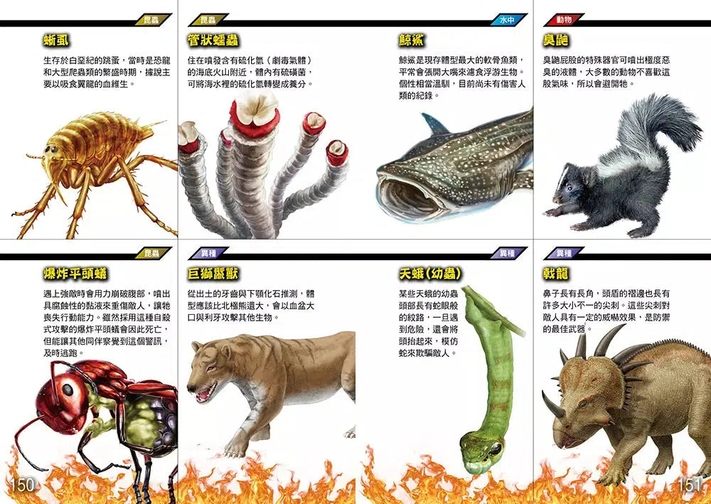 最強王強者歸來角色大圖鑑 (附限定版空戰別冊空中最強王圖鑑)-Children’s / Teenage fiction: Fantasy-買書書 BuyBookBook