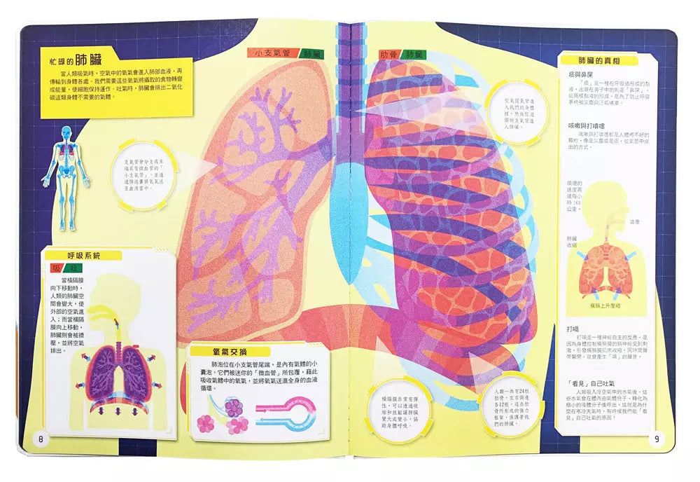 人體大透視:濾鏡百科遊戲書(內附神奇雙色透視濾鏡,可顯現出不同圖案!)-Children’s / Teenage general interest: Science and technology-買書書 BuyBookBook