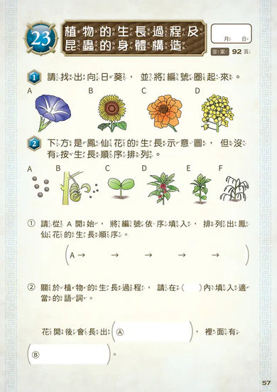 龍族戰鬥練習本:幼小銜接3級綜合練習挑戰【附閃亮龍族召喚貼紙及角色墊板】-Children’s / Teenage general interest: Hobbies/ quizzes/ toys and games-買書書 BuyBookBook