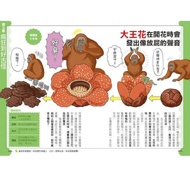 好奇孩子大探索:真的假的?原來植物這麼妙-非故事: 參考百科 Reference & Encyclopedia-買書書 BuyBookBook