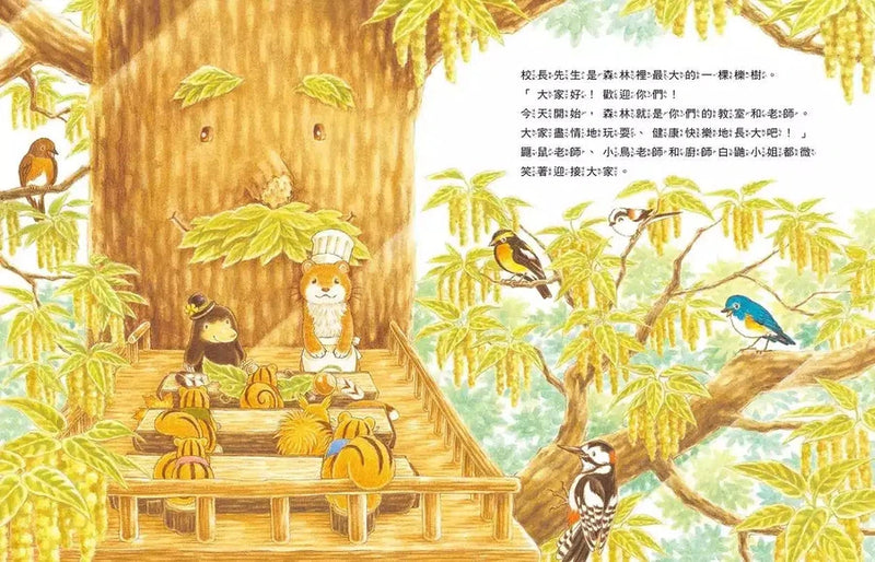 櫟樹森林的松鼠學校 (福澤由美子)-故事: 兒童繪本 Picture Books-買書書 BuyBookBook