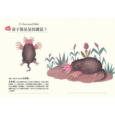 什麼?! 居然有這種動物:牠們的名字怪怪的-非故事: 動物植物 Animal & Plant-買書書 BuyBookBook