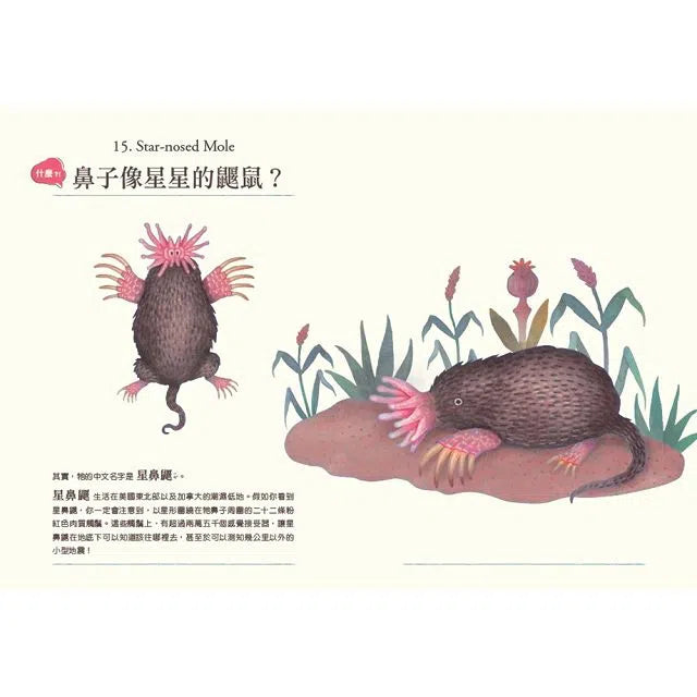 什麼?! 居然有這種動物:牠們的名字怪怪的-非故事: 動物植物 Animal & Plant-買書書 BuyBookBook