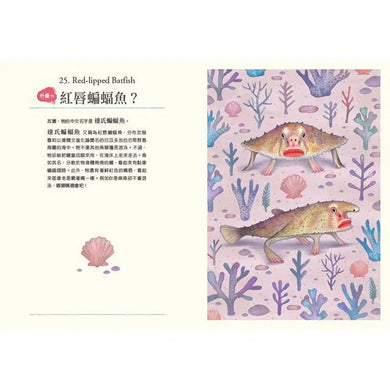 什麼?! 居然有這種動物:牠們的名字怪怪的-非故事: 動物植物 Animal & Plant-買書書 BuyBookBook