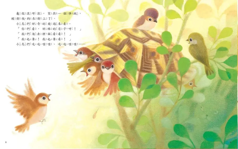 把殼丟掉的烏龜(新版)-Children’s / Teenage fiction: Action and adventure stories-買書書 BuyBookBook