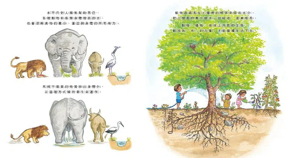 哇!「水」原來這麼重要!-非故事: 參考百科 Reference & Encyclopedia-買書書 BuyBookBook