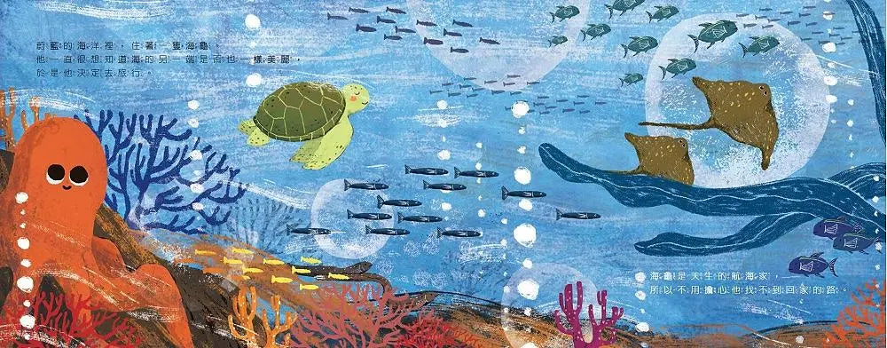 海龜與海